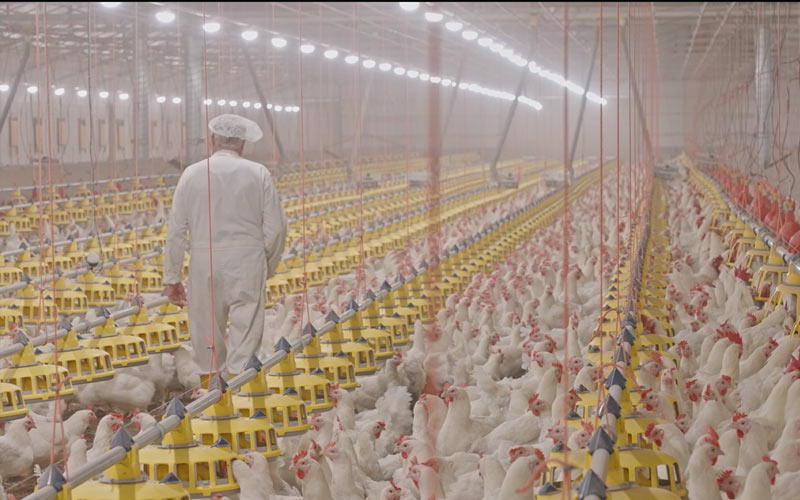 Greenfarm sfeerimpressie 5