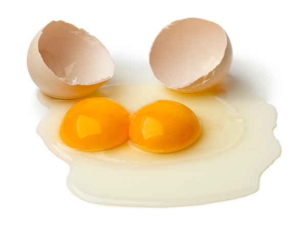 Eierkastje met verse dubbeldooiers